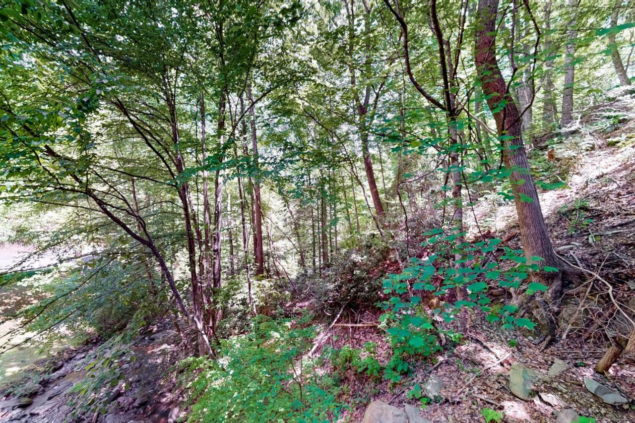 Hiker'S Hideaway Villa Gatlinburg Rom bilde